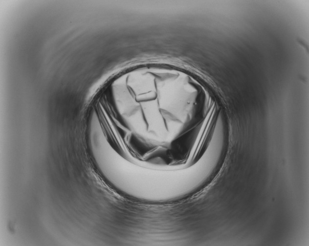 X0000100201502200806201409