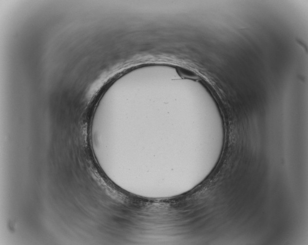 X0000100201503200806201409