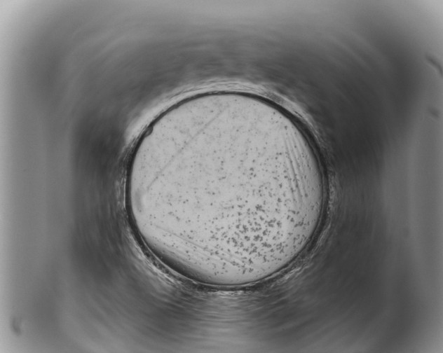 X0000100201504200806201409