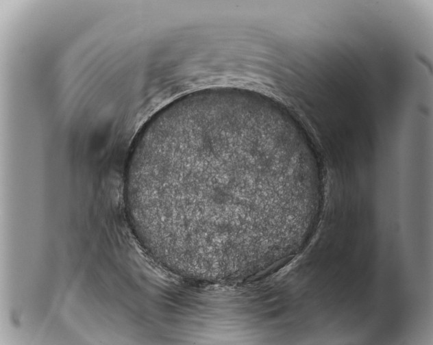 X0000100201505200806201409