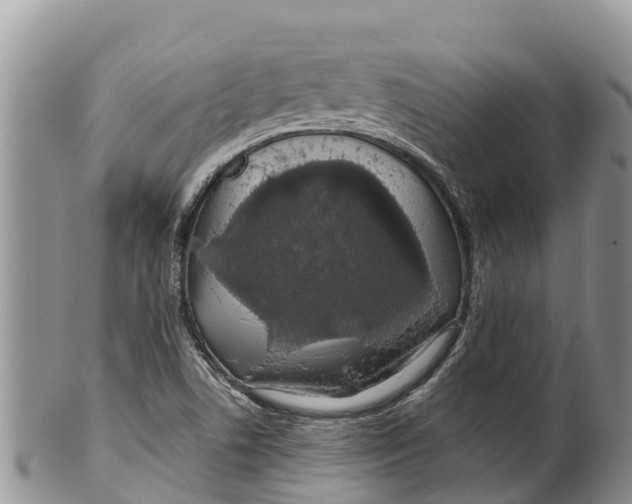 X0000100201506200806201409