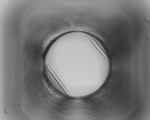 X0000100201507200806201409