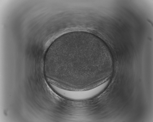 X0000100201508200806201409