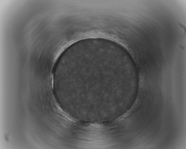 X0000100201509200806201409