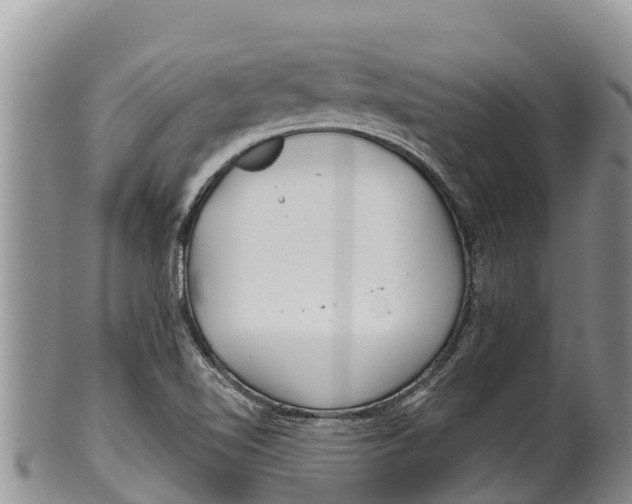 X0000100201510200806201409