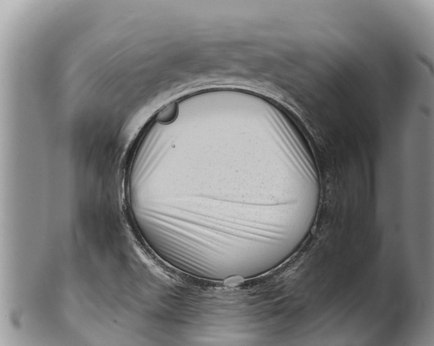 X0000100201511200806201409