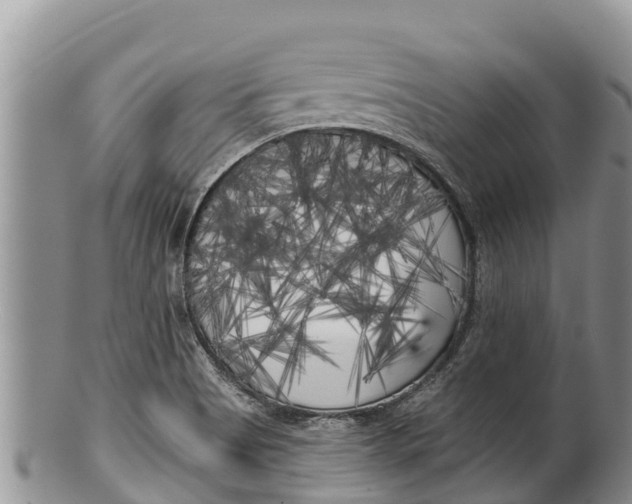 X0000100201513200806201409