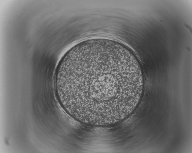 X0000100201514200806201409