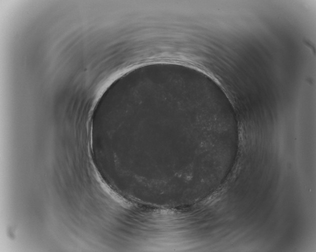 X0000100201515200806201409