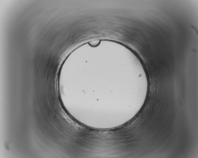 X0000100201516200806201409