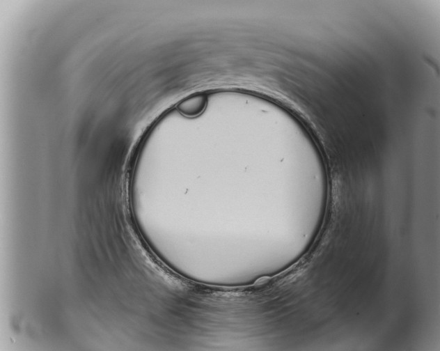 X0000100201517200806201409