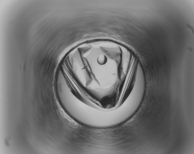 X0000100201518200806201409