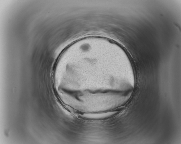 X0000100201519200806201409