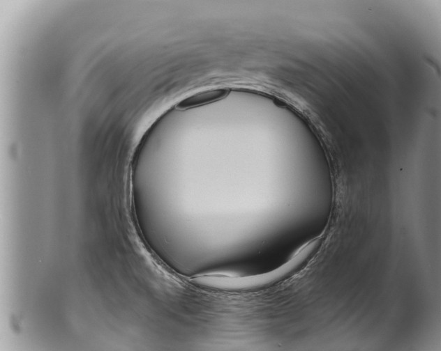 X0000100201520200806201409