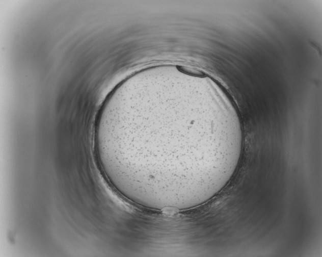 X0000100201523200806201409