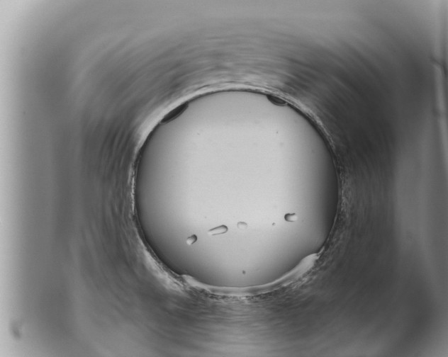 X0000100201524200806201409