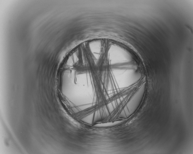 X0000100201525200806201409