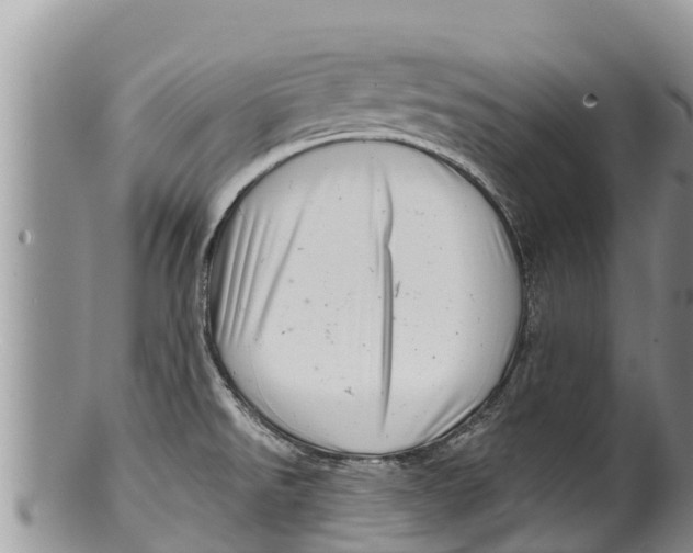 X0000100201526200806201409