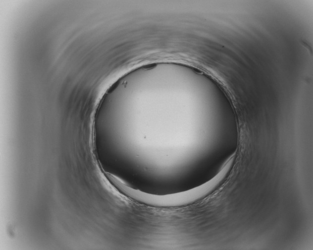 X0000100201528200806201409