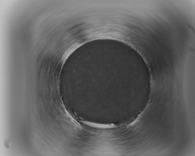 X0000100201529200806201409