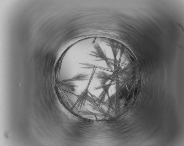 X0000100201531200806201409