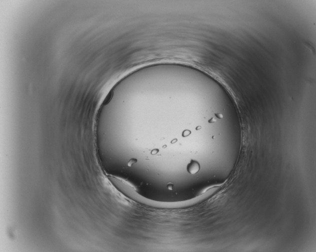 X0000100201532200806201409