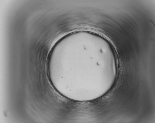 X0000100201533200806201409