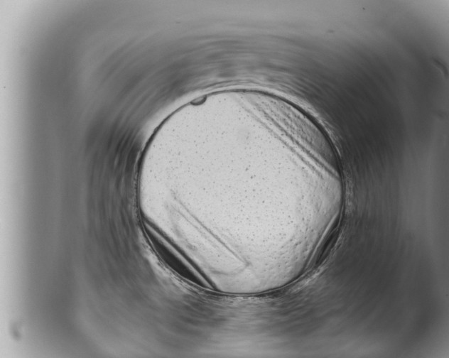 X0000100201534200806201409