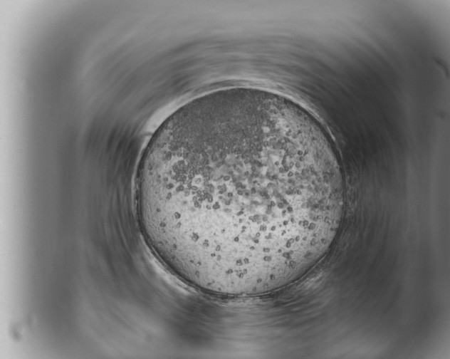 X0000100201535200806201409