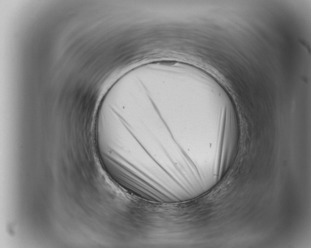 X0000100201536200806201409