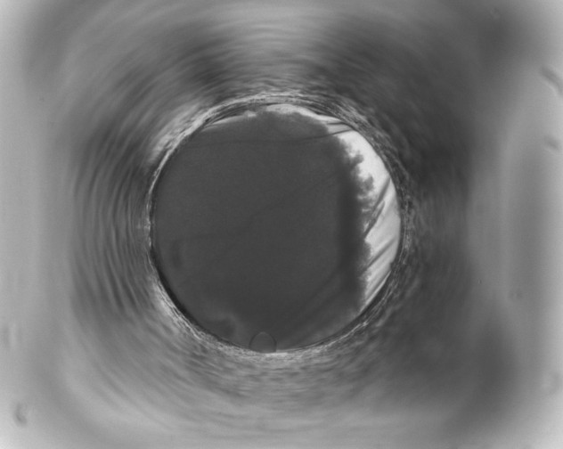 X0000100200002200806271652