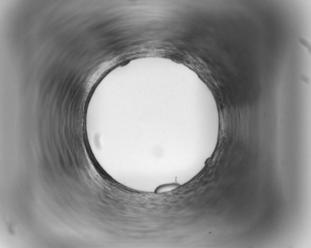 X0000100200003200806271652