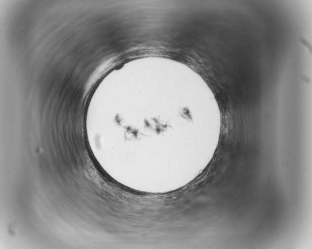 X0000100200004200806271652