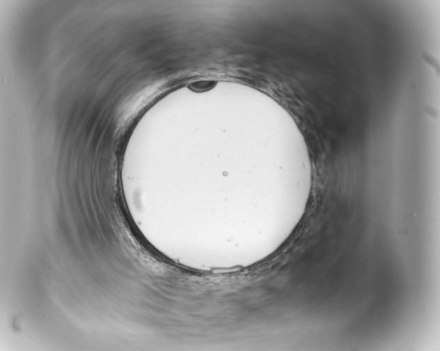 X0000100200005200806271652