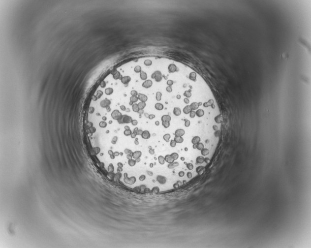 X0000100200006200806271652