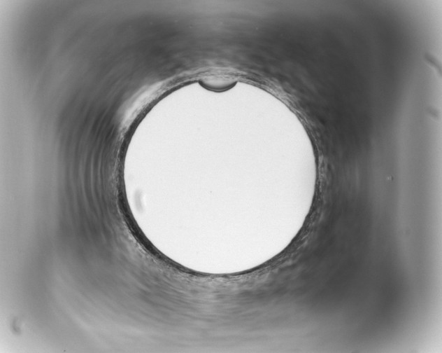 X0000100200007200806271652