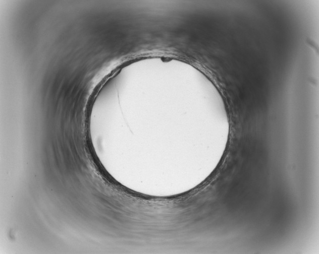 X0000100200008200806271652