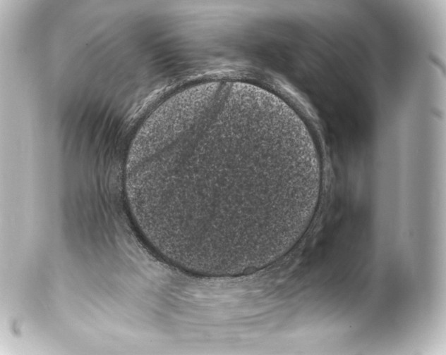 X0000100200009200806271652