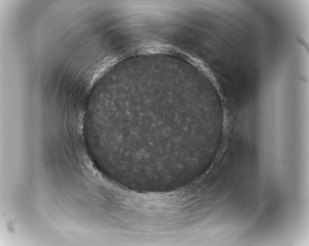 X0000100200010200806271652