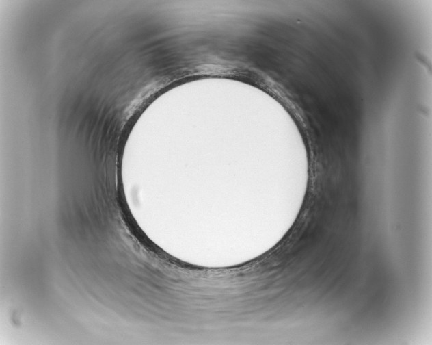 X0000100200011200806271652