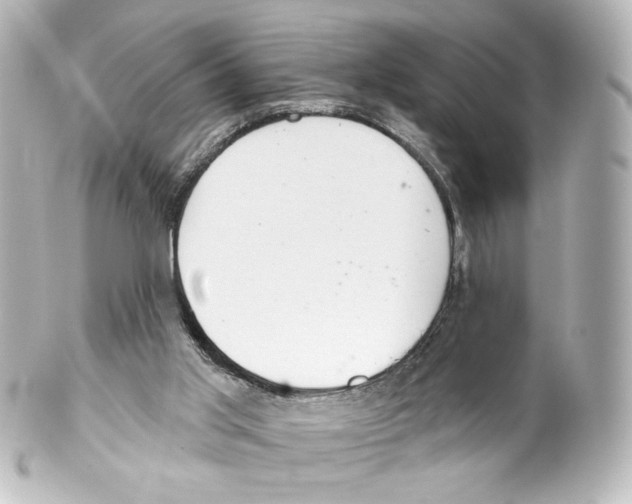 X0000100200013200806271652