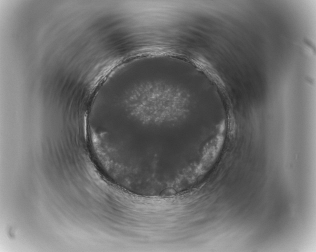 X0000100200014200806271652