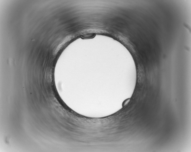 X0000100200015200806271652