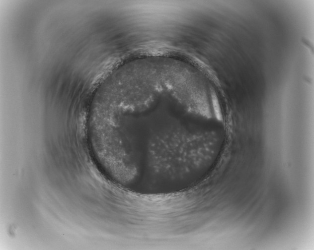 X0000100200018200806271652