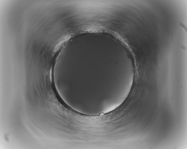 X0000100200019200806271652