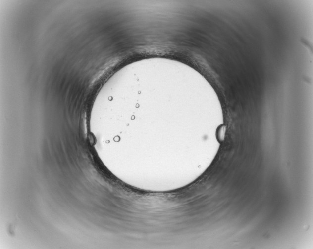 X0000100200020200806271652