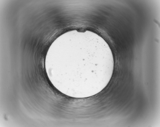 X0000100200021200806271652