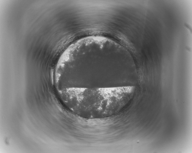 X0000100200022200806271652