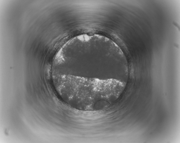 X0000100200026200806271652