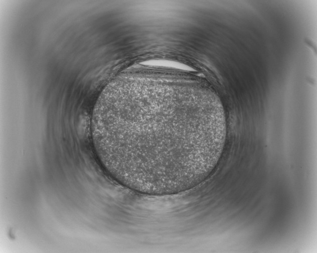 X0000100200029200806271652